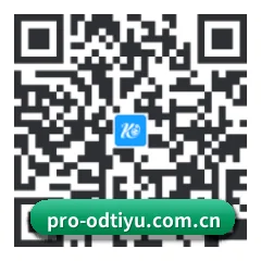 苹果版 iOS 二维码